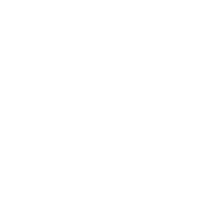 icon-international