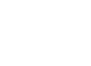 Logo - RSM US Alliance