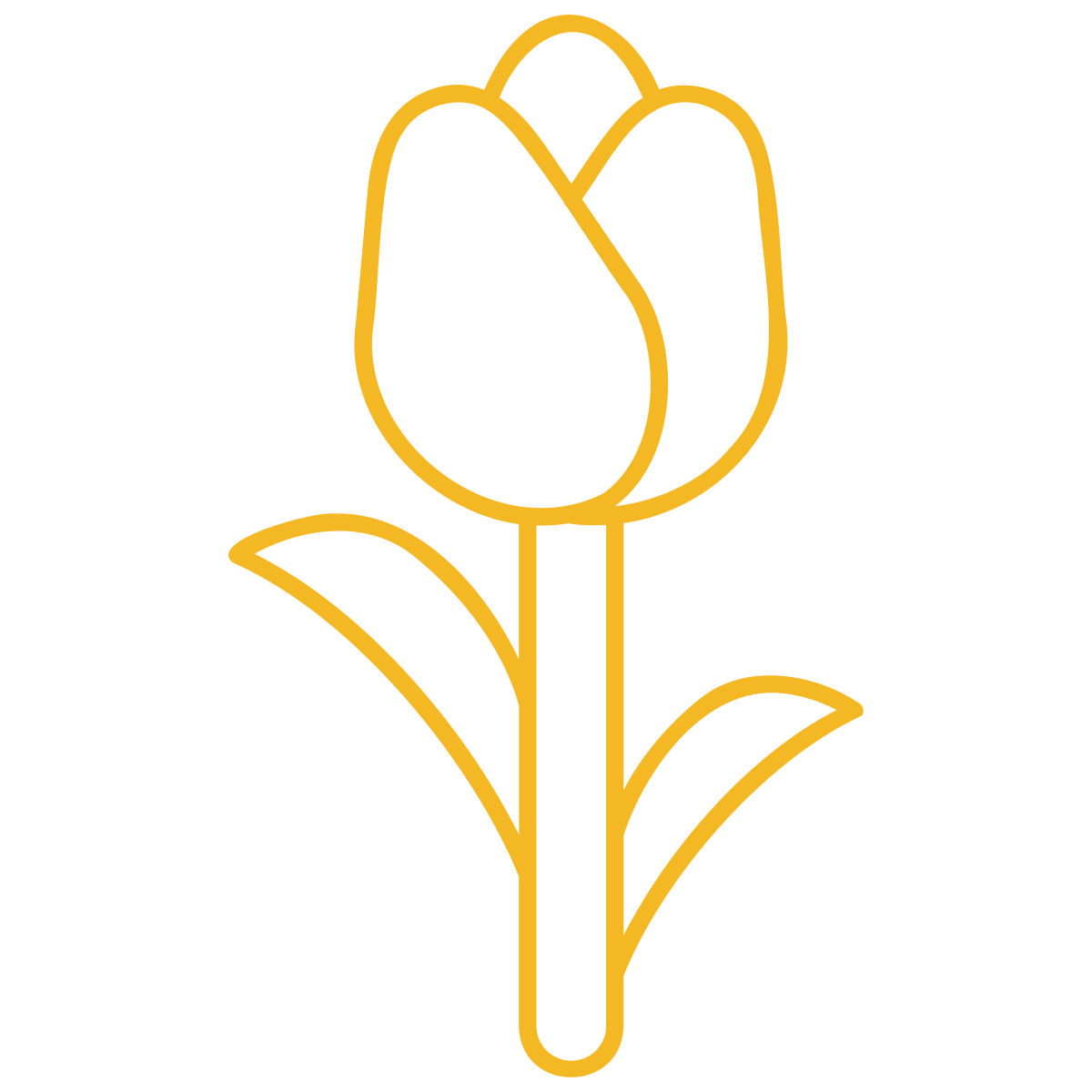 noun-tulip-8105281-F4B824